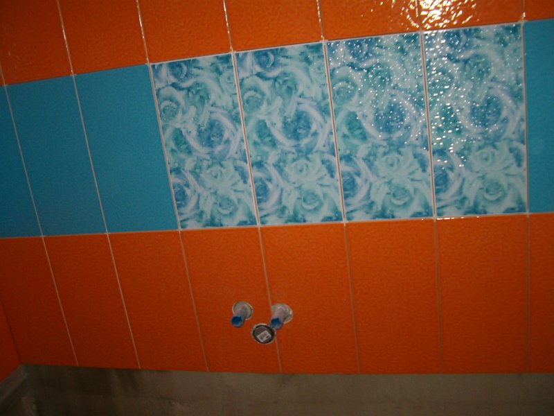 HPIM0947.JPG