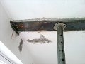 CAM_0221