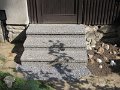 IMG_2828