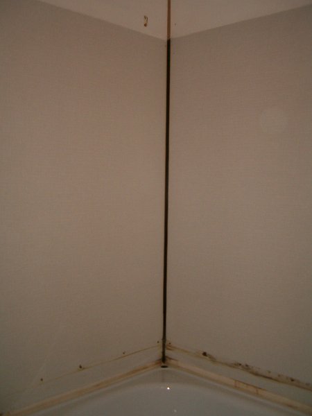 HPIM0170.JPG